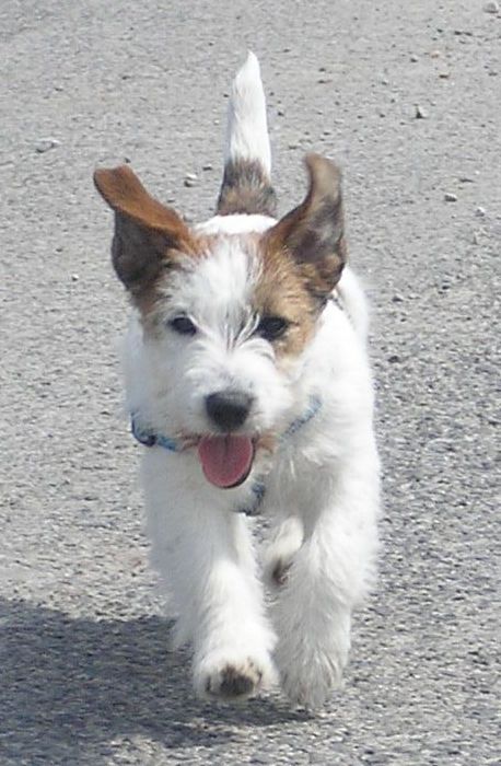 Kópia – P6020118.JPG